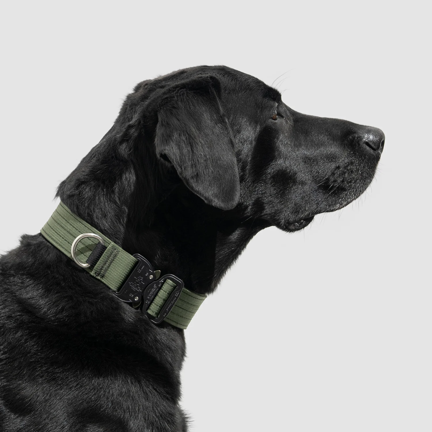 Lifetime Pro Collar - Image 18