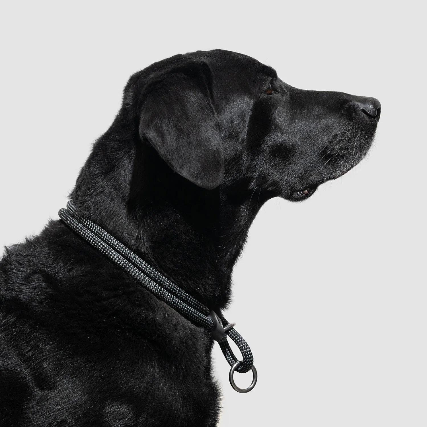 Lifetime Slip Collar - Image 4