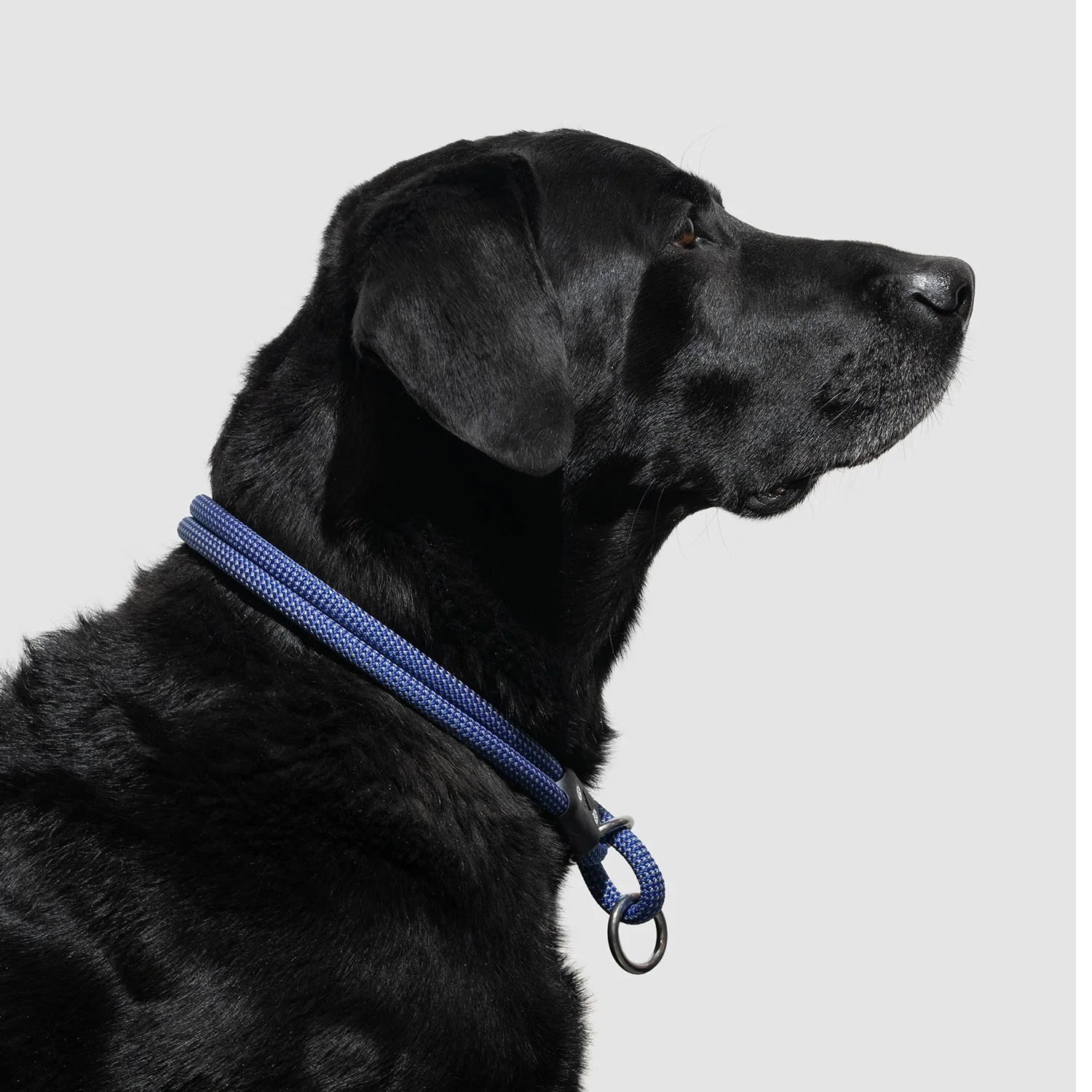 Lifetime Slip Collar - Image 6