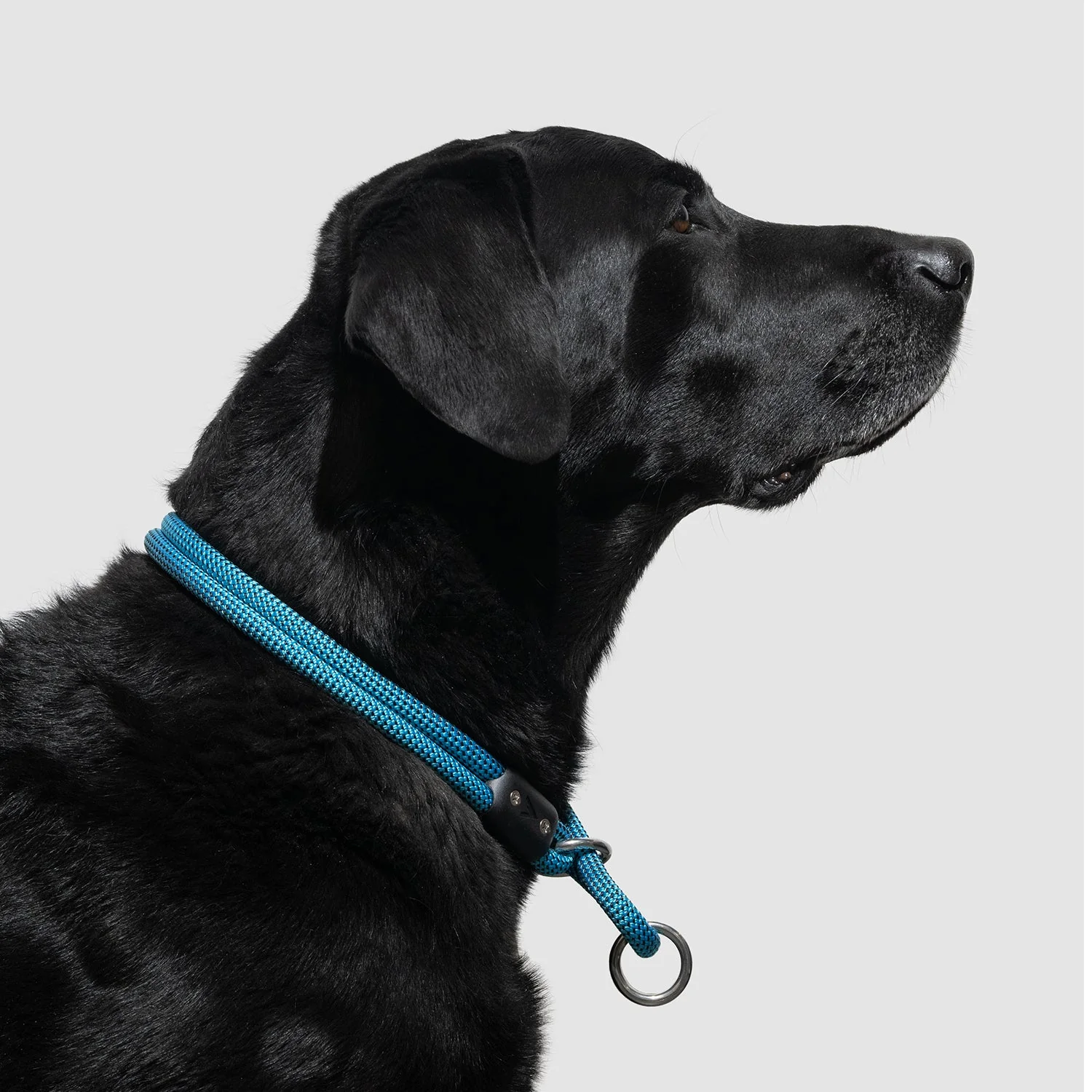 Lifetime Slip Collar - Image 8